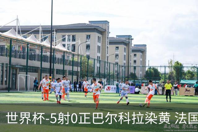 世界杯-5射0正巴尔科拉染黄 法国队半场暂0-0巴拉圭