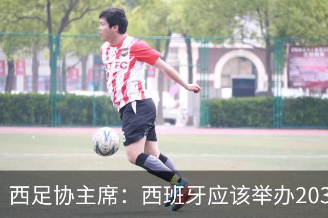 西足协主席：西班牙应该举办2030世界杯决赛，我们各方面条件最优